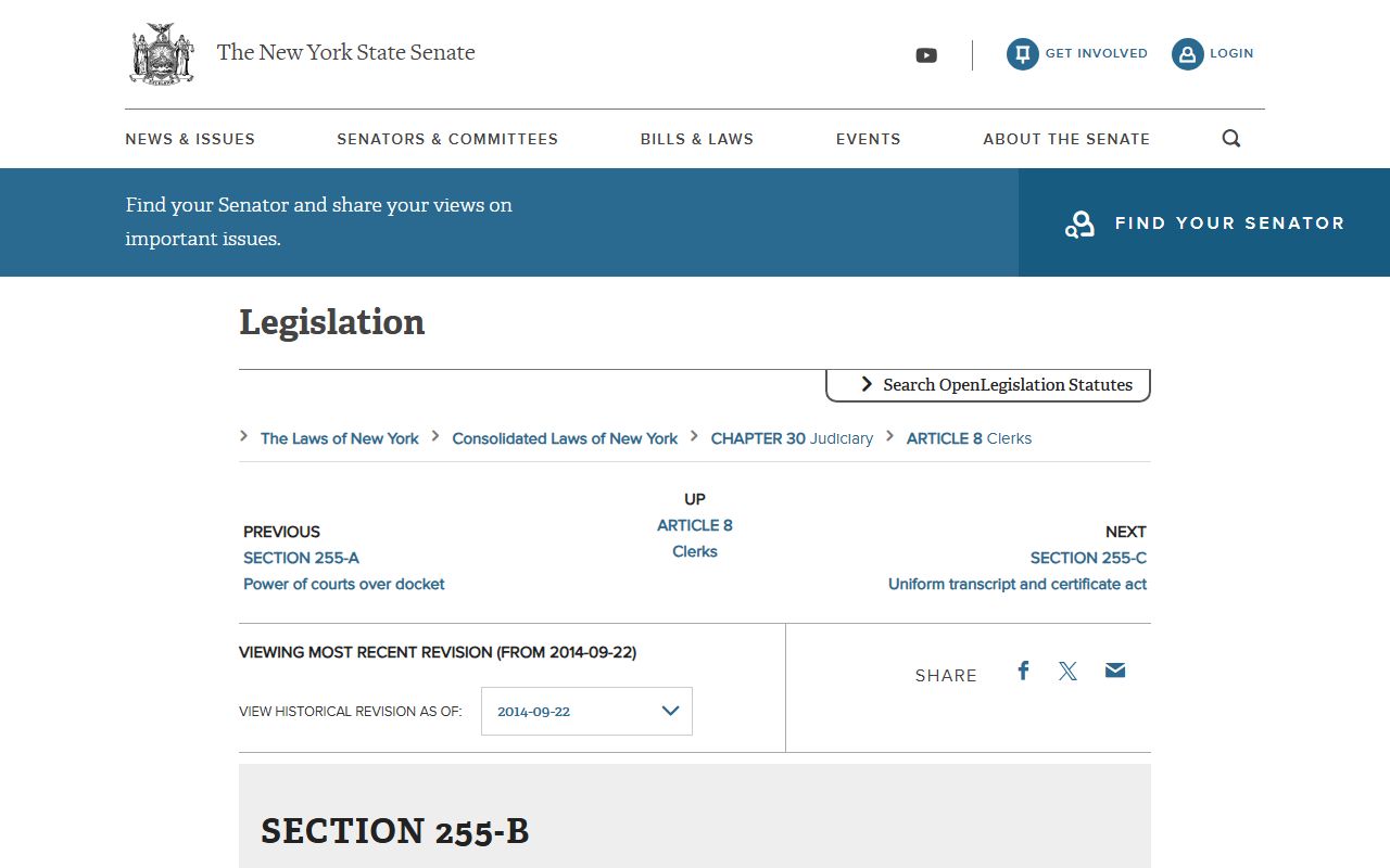 Suffolk County court docket public access law page